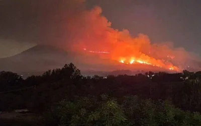 INCENDI BOSCHIVI, PROROGATO AL 15 OTTOBRE LO STATO DI GRAVE PERICOLOSITÀ