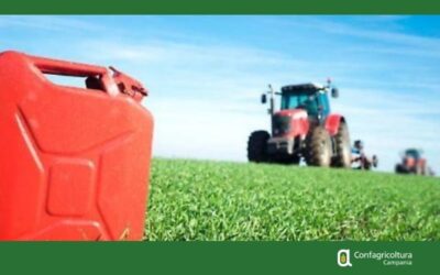 Caro gasolio agricolo. Avviato il percorso europeo per l’utilizzo delle risorse FEASR