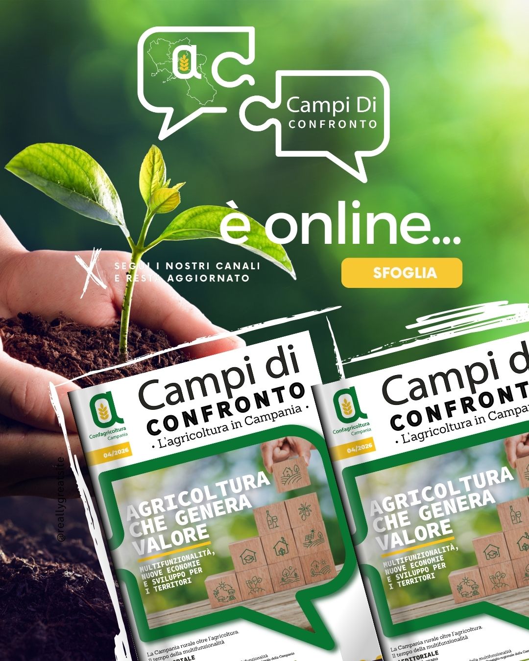 Home Visual_ Campi di CONFRONTO
