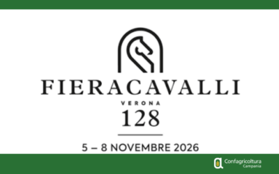 FIERACAVALLI 2026 – AVVISO PER GLI ALLEVATORI CAMPANI