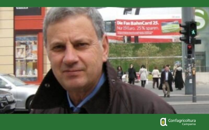 Grano duro in Campania, Carlo Maresca: calo delle rese ma qualità alta. Il mercato non remunera gli sforzi