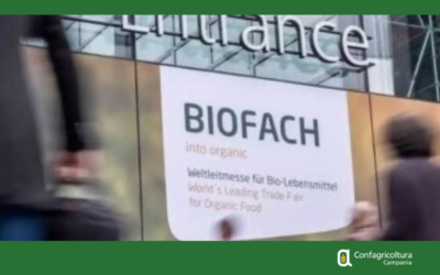 BIOFACH 2027: APERTE LE CANDIDATURE PER LE IMPRESE BIOLOGICHE CAMPANE