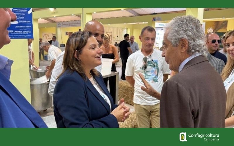 Cinghiali, Confagricoltura Campania: serve una nuova gestione del territorio