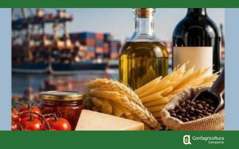 Dal dato al valore. Così l’export può far crescere l’agricoltura campana. Il rapporto CREA con focus sulla Campania