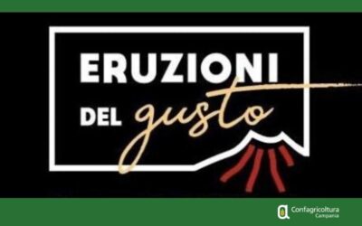COLLETTIVE REGIONALI – APERTE LE ADESIONI A ERUZIONI DEL GUSTO E GUSTUS 2026