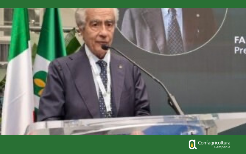 Caro fertilizzanti, Marzano (Confagricoltura Campania): bene il decreto, ora attenzione a altri comparti