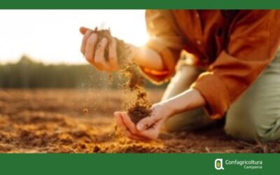 Dal tavolo verde regionale l’annuncio su fondi per biodiversità e giovani. Riflettori accesi sul ruolo delle donne
