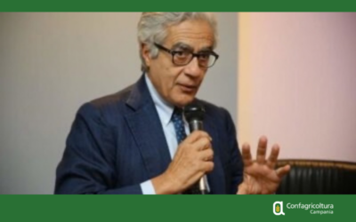 Protocolli d’intesa della Regione con AGEA e ABI, Confagricoltura Campania: più dati per politiche agricole vicine ai territori