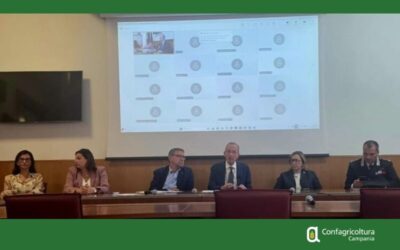 Caporalato: Confagricoltura Campania, alloggi dignitosi e servizi per i lavoratori, serve una strategia regionale