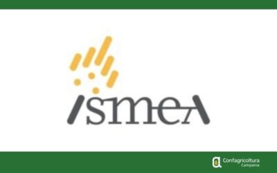 BANDO ISMEA – PROROGATO IL TERMINE PER I CONTRIBUTI DESTINATI ALLA SICUREZZA DEI TRATTORI AGRICOLI