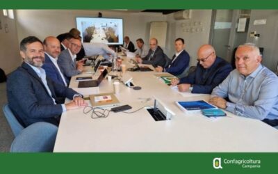 Quarta gamma, a Parigi il confronto europeo sulle sfide della filiera