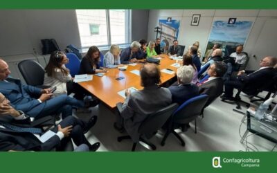 Osservatorio regionale sui flussi turistici, focus sull’agriturismo e sulla valorizzazione dei territori