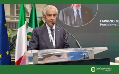 Crisi delle filiere agricole e caro gasolio, Marzano (Confagricoltura Campania): servono interventi urgenti per tutelare liquidità e continuità delle imprese
