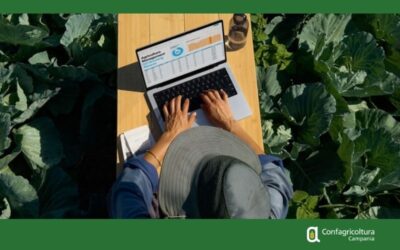 PSR–CSR CAMPANIA. PROROGATO ALL’8 OTTOBRE IL QUESTIONARIO SULLA COMUNICAZIONE