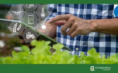 INTELLIGENZA ARTIFICIALE. NUOVE REGOLE PER IMPRESE E ORGANIZZAZIONI
