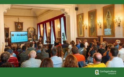 Marzano, Salvatore Aceto nel Comitato di Gestione GIAHS, un riconoscimento al valore dell’agricoltura della Costiera Amalfitana