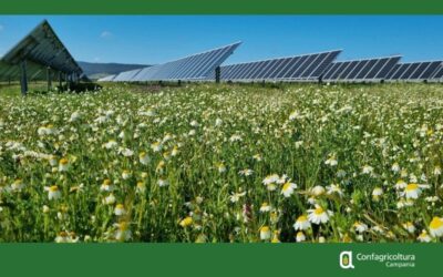 AGRIVOLTAICO. NUOVI INDIRIZZI OPERATIVI DELLA REGIONE CAMPANIA